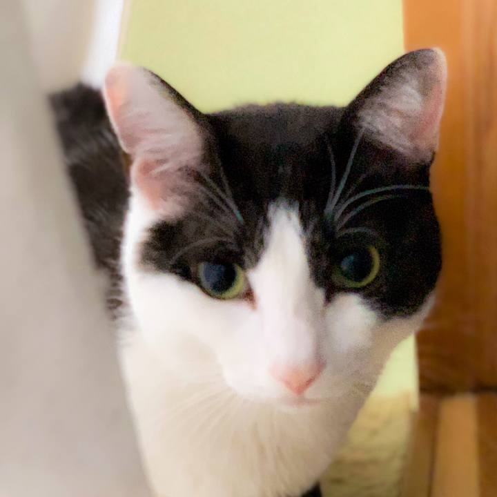 Dae1f3cb e2ca 4ddd a80e 695f291165a2 1561773151598