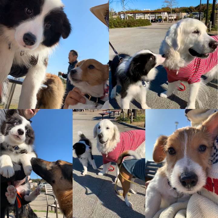 Dae20511 cc34 489a 936d 706698e3cccc 1575101998125