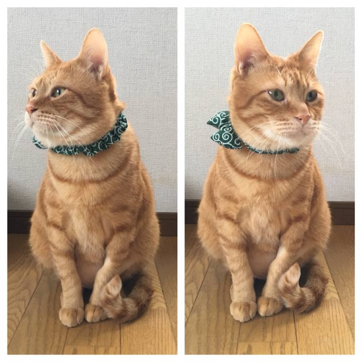 Dae2236e 0736 4fce ab9c 7429db726830 1546211180434