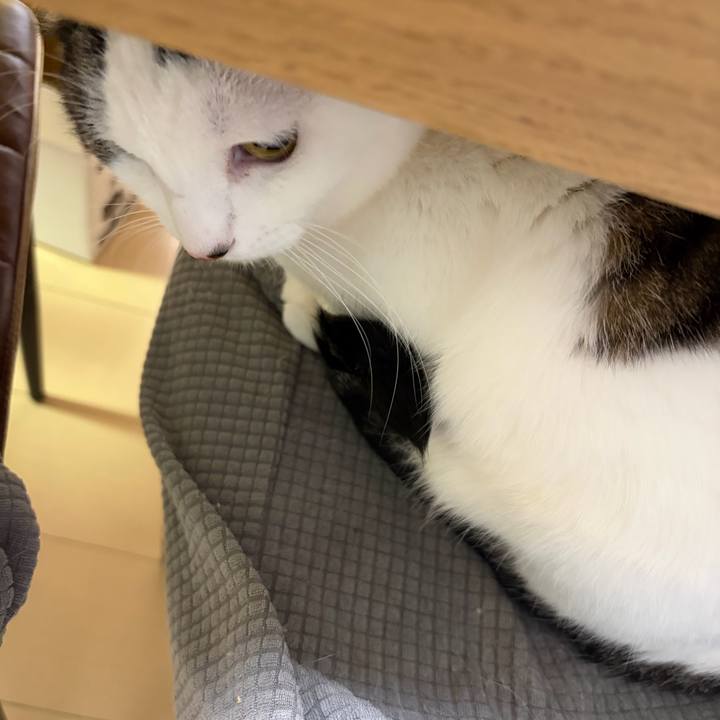 Dae2595e c9e3 4851 a7fe e4cc4f486442 1770563510823