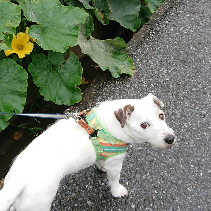 Dae26080 90d8 4f8e 88f5 8caea05cefd1 1562889269647