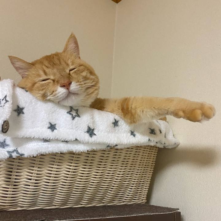 Dae26f19 55d7 445d 941c b414480fc315 1613050067151