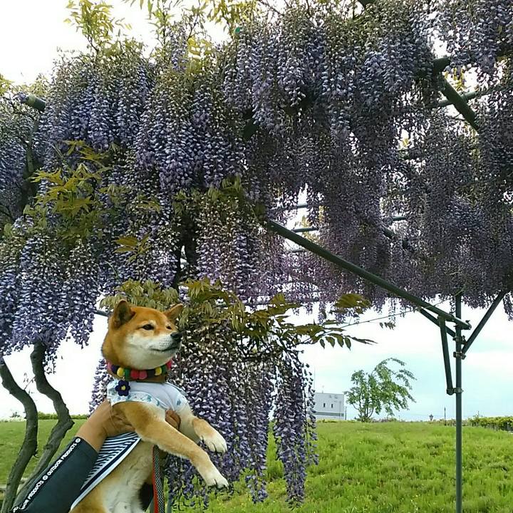 Dae27f12 58d6 4301 9761 fb5d75b9cfae 1557117438523