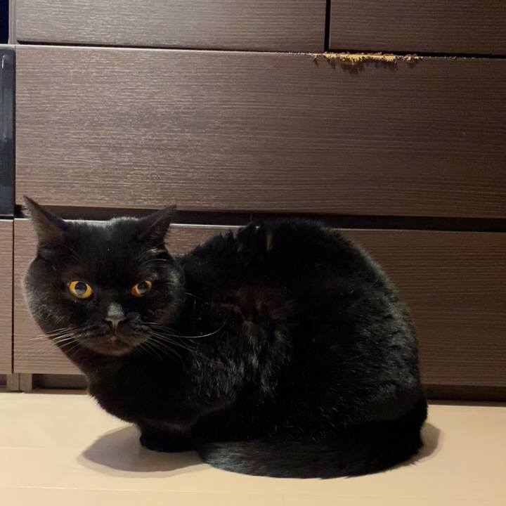 Dae294ed 96d7 4e05 98f7 22d46479aed1 1709037842712