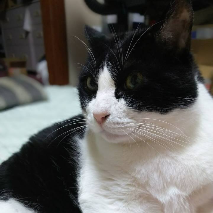 Dae29f2e 54db 4d49 aa23 297b38832216 1543441881236