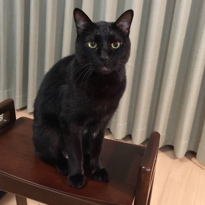 Dae2d56a 7ee3 4d56 abe8 ceb29a5b9a36 1510055062134