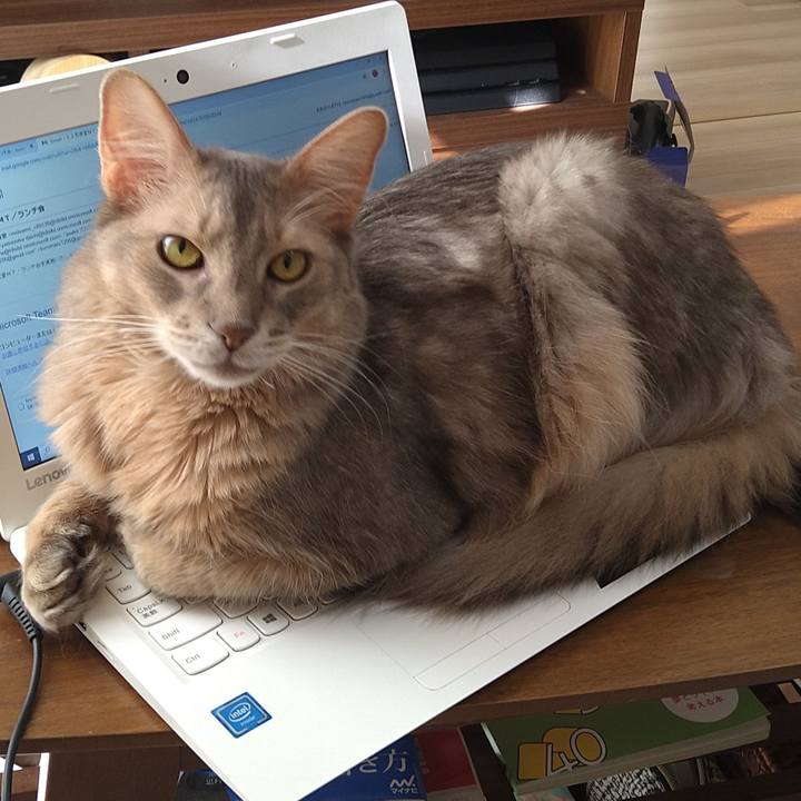 Dae2e505 a109 4414 9ff6 594175171e19 1606809502668