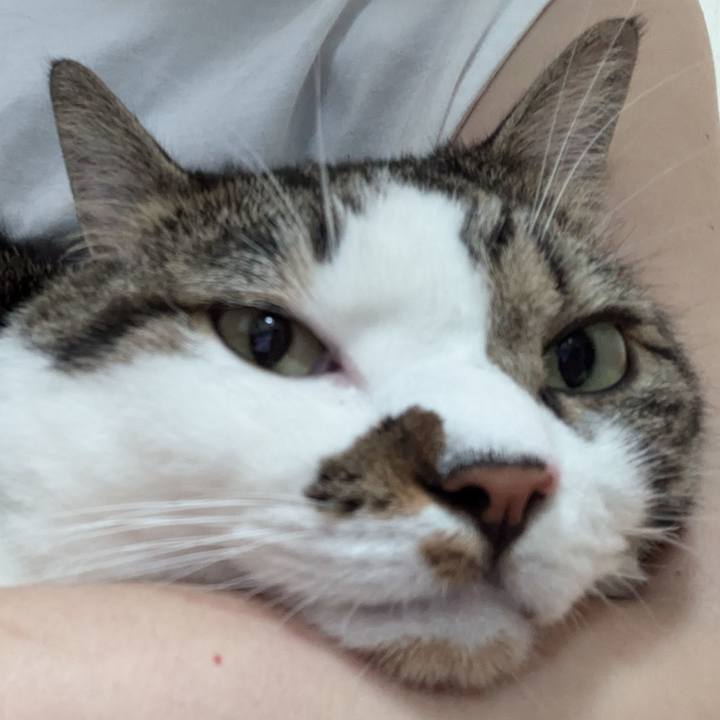 Dae2f9c0 7140 4dc4 8632 91025a80def1 1726535564652