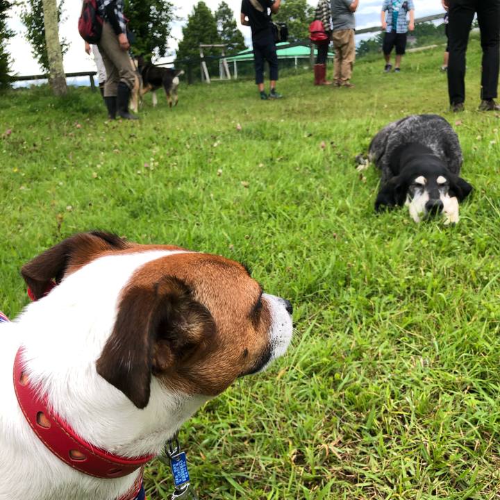 Dae30f3d 4183 4352 9225 ed22ab944976 1594707693183