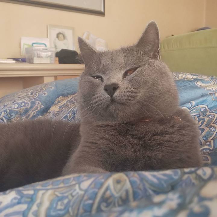 Dae3a6cf af92 4de7 96b5 0e6893022572 1541836858259