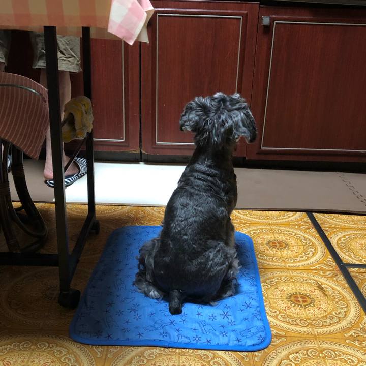 Dae3bb42 de0c 4b67 9fa9 13f4df8d35a3 1663070212897