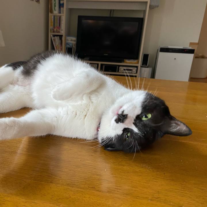 Dae3bddf e340 4da4 ad61 07c27b4ce17c 1633175255167