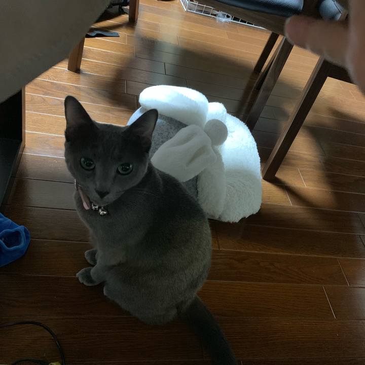 Dae3ccdb 251d 4806 b55c 8b536ec8db68 1573430886455