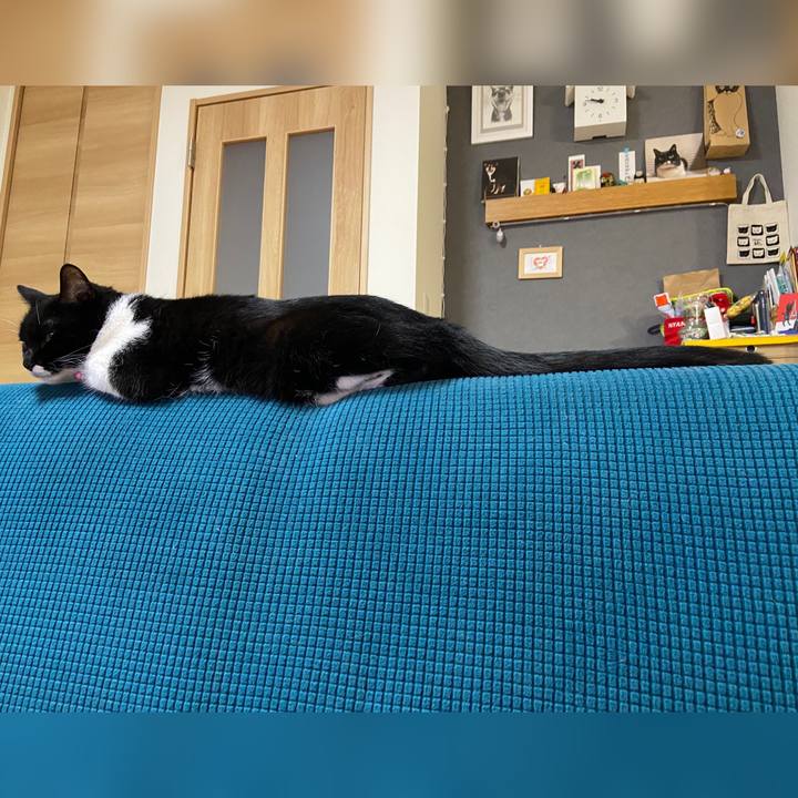 Dae3cee3 01a7 413d a1de 9407b217c2f6 1690852058891