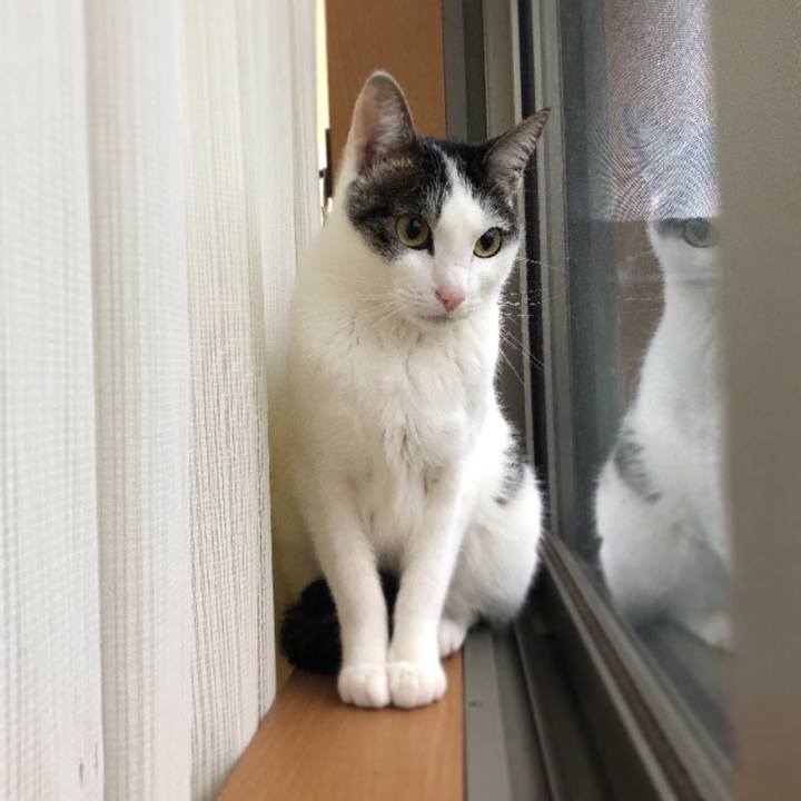 Dae3d958 41e7 4efe 972f 6da3e7143fbe 1619814435542