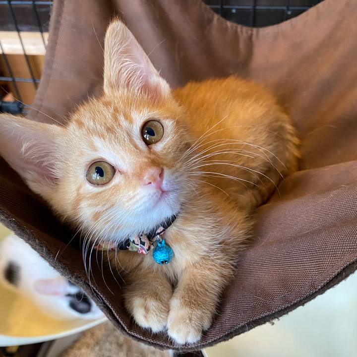 Dae3fe46 2282 4d41 b5f4 f38fb9ee8a28 1750578864970