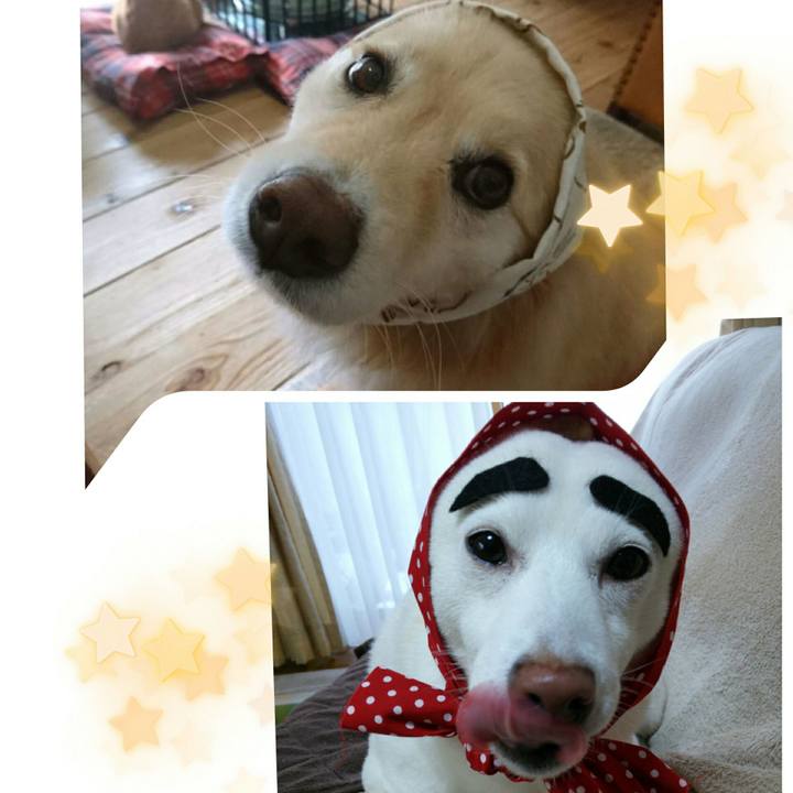 Dae41e09 503b 4eaa 9ce5 ad1e9e27f73a 1549853125025