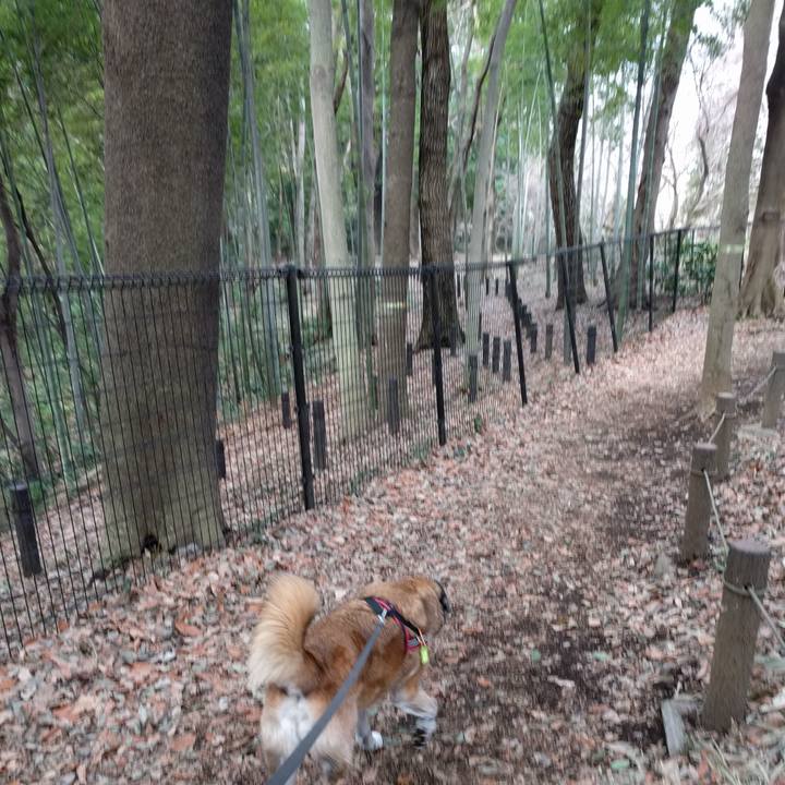 Dae45653 451f 4589 9282 ca2e86a4ca37 1520304265953