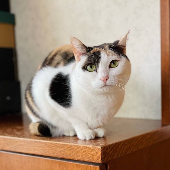 Dae49418 91bf 4bb6 b7d9 ac3198f73398 1648176554540