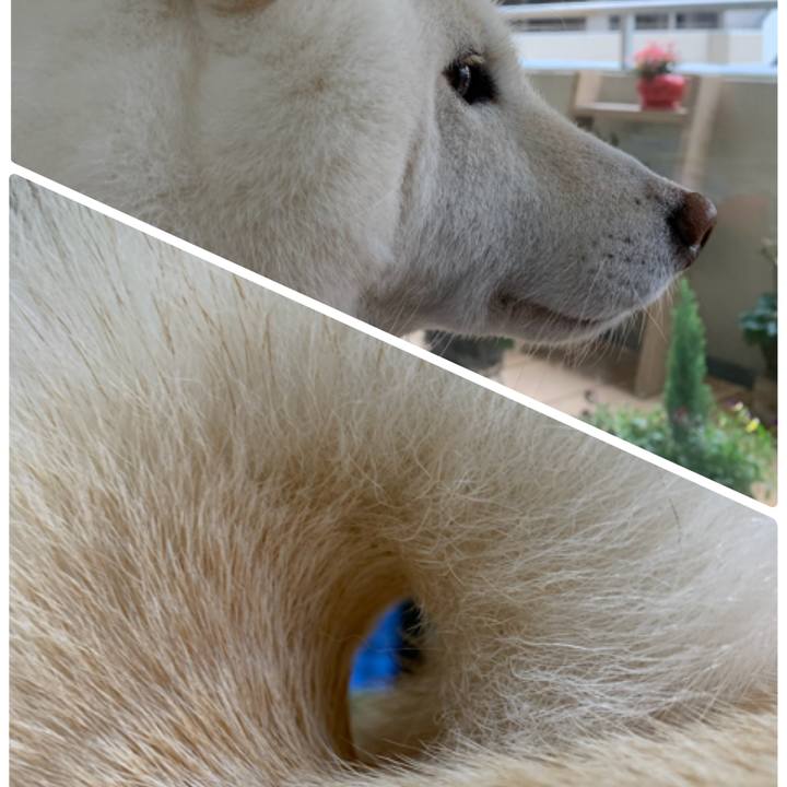 Dae4a52e 3452 466f 8b59 c32a19b2a31d 1607734810496