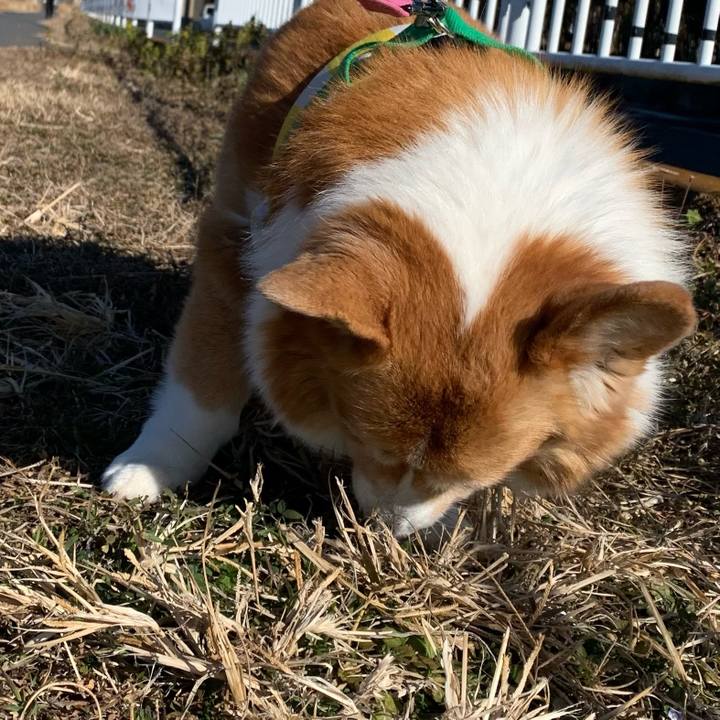 Dae4ee4c 64f3 4a1b 8be5 d9b4b80c3c60 1705120650066