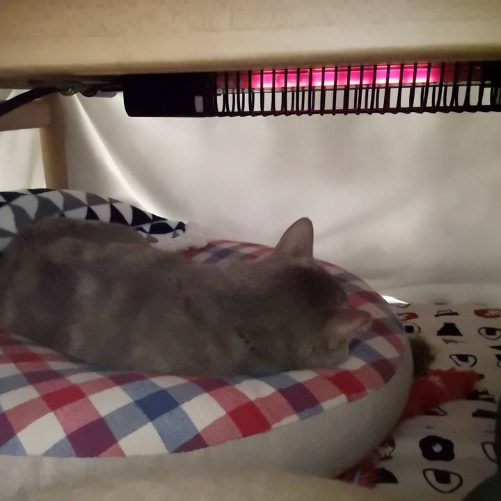 Dae4fd6e abf6 4a8b 86a4 7d93d56b8edc 1574151402851