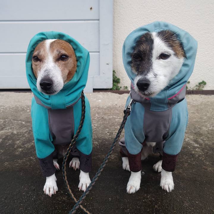 Dae50cc6 cd68 4f2f bdc4 3825200d6028 1773099198035