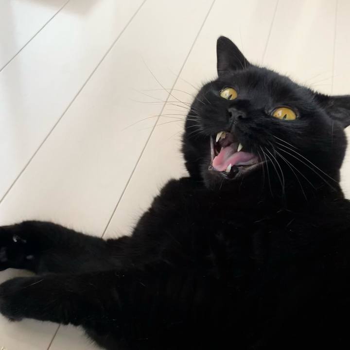 Dae560bb d293 45f9 977d 27e82c1ea5bb 1658044924843