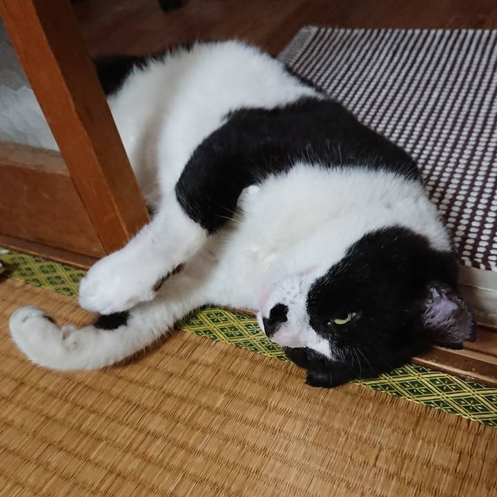 Dae5909a 2603 47e4 af23 4330f3ecb7c6 1528447489834