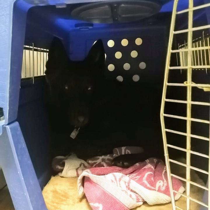 Dae5ae7e 3cad 4993 aa00 b186097ea934 1612736531727