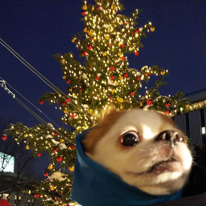 Dae5bd2a e174 48a4 8e4f cf1c8430560a 1512811586470