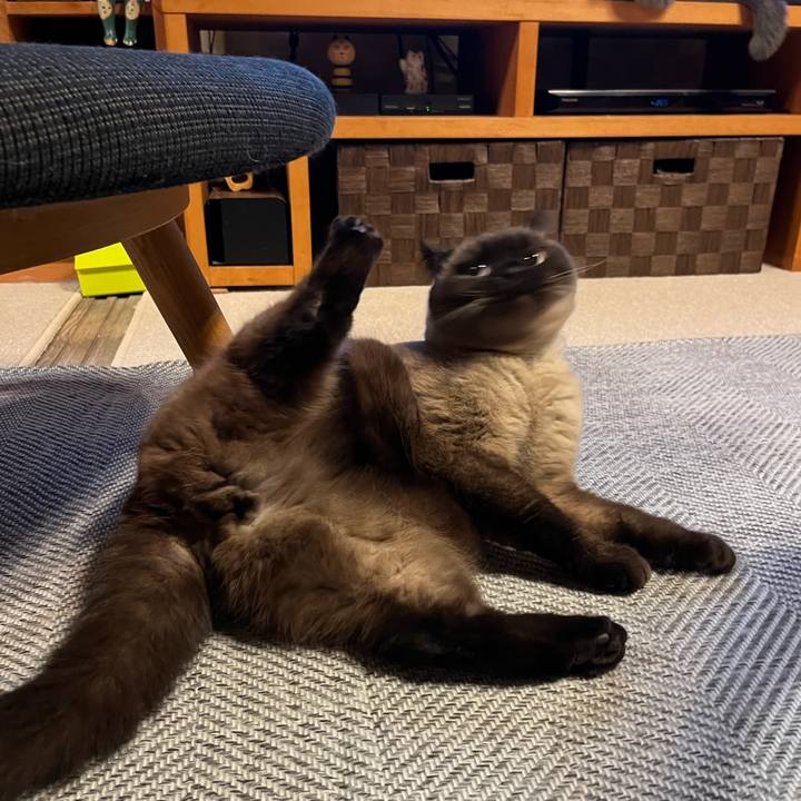 Dae5f9f3 e46c 4b65 b752 e51c1cdce722 1670498786369