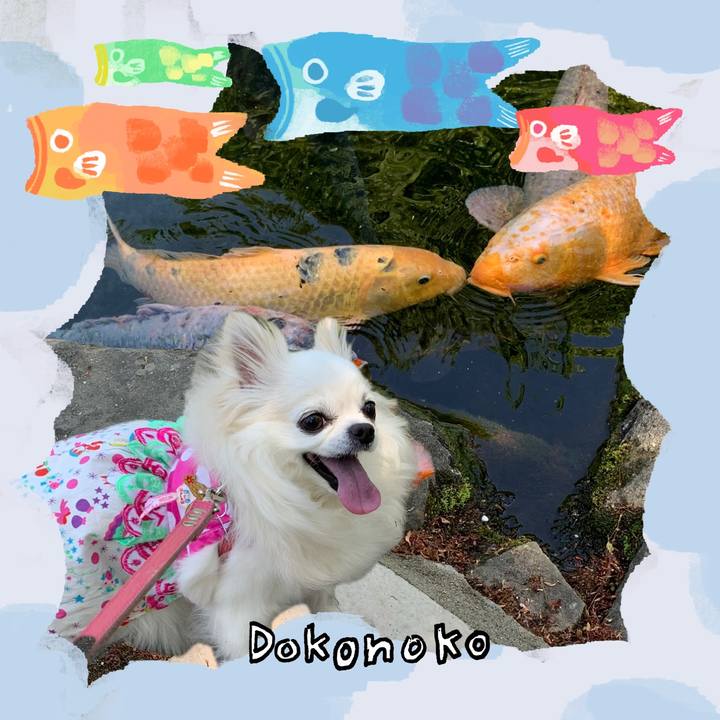 Dae60b46 1fce 404b b8a1 a454b3c3f16d 1749550294991