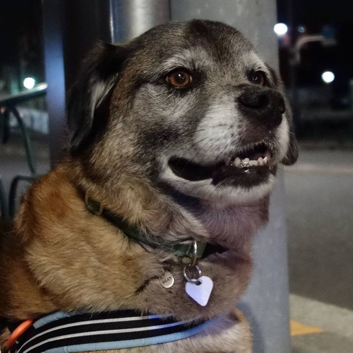 Dae60e20 0376 4ee1 be3b 70d4ea1a029d 1633045600146