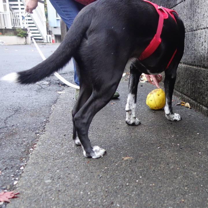 Dae617e9 1679 45f9 a72b 5b0361868bb3 1669769006845