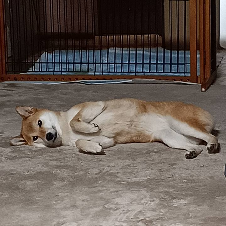 Dae633e0 44f2 467e be6f 246832a74157 1741772374842