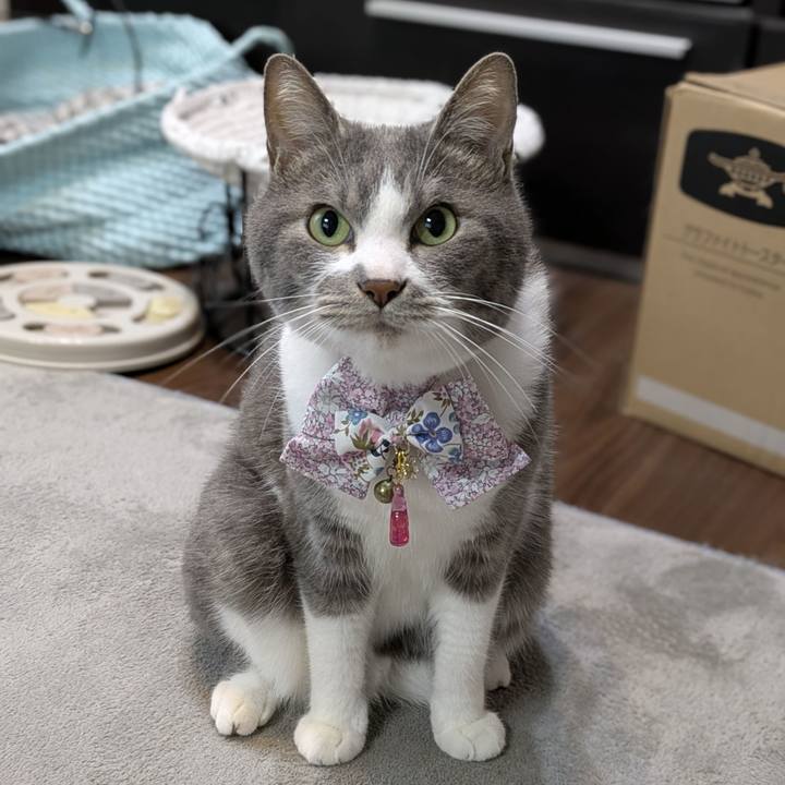 Dae6450b 1163 414a 8632 9a9a75b0dad2 1748590608736