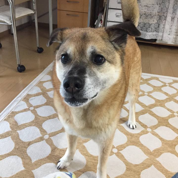 Dae67831 2afe 471b b008 782592d7ade4 1587186545392