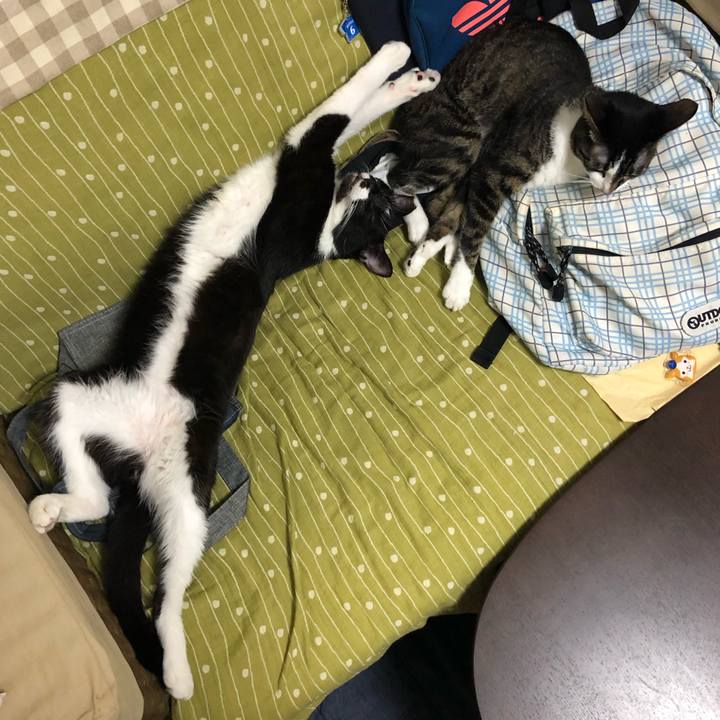 Dae6b837 fd82 4b04 9210 31a0d8c79883 1568149656161