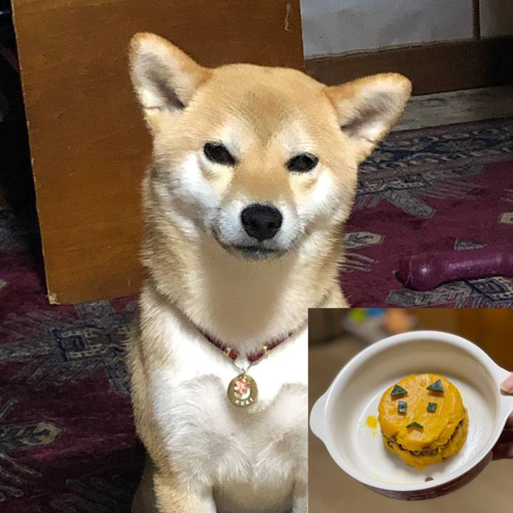 Dae6be67 94f6 4e28 9adc 6a8b93b8e60a 1653747042360