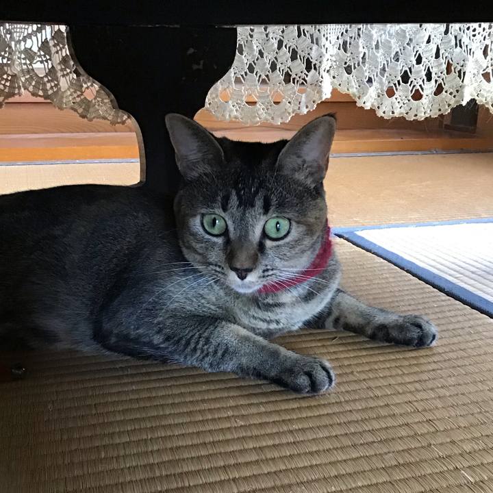 Dae727a9 6b7f 447b 88e2 d34d4c168c17 1600405057993