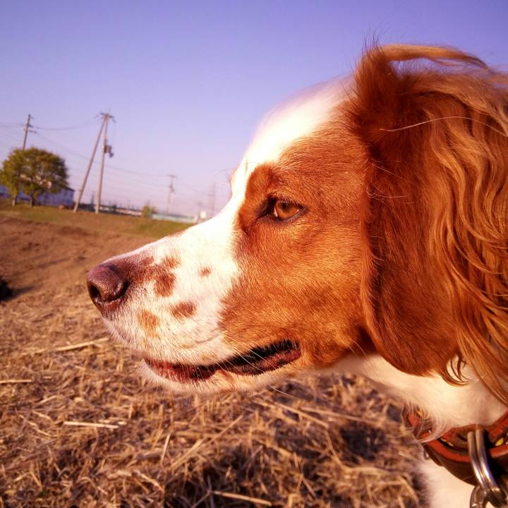 Dae76196 81d6 4e43 9eb5 b0e2da5a7107 1511870275501