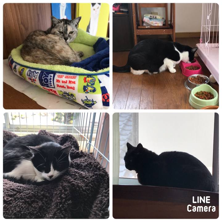 Dae7eb22 004e 47f3 92a2 a71c233f8fc5 1651581820049