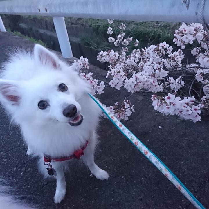 Dae8176b b287 4c8a b137 cbf8c9e283bb 1617183854017