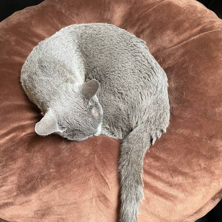 Dae82173 12fa 42dd 8fbb b09ef91b7fe0 1621664692458