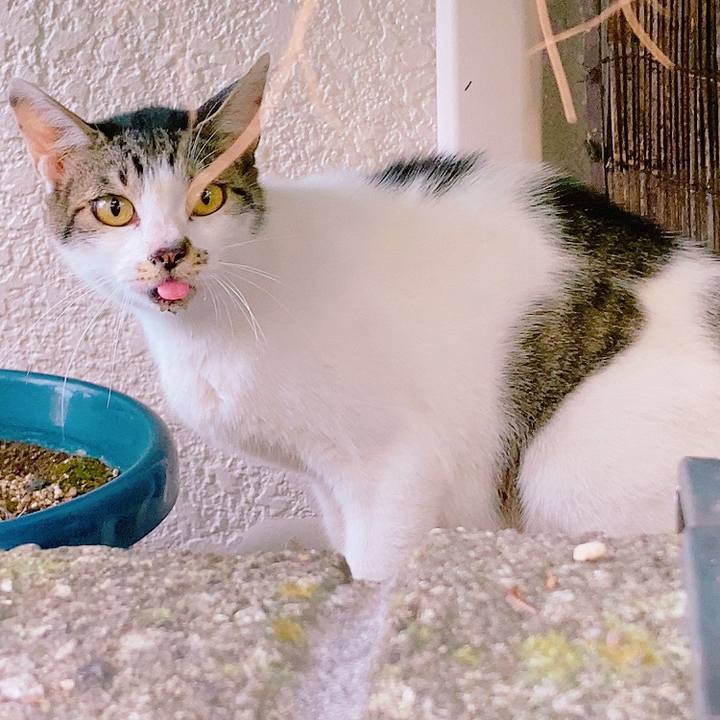 Dae85756 24a4 4bc5 be06 504ede395c7d 1628424177123