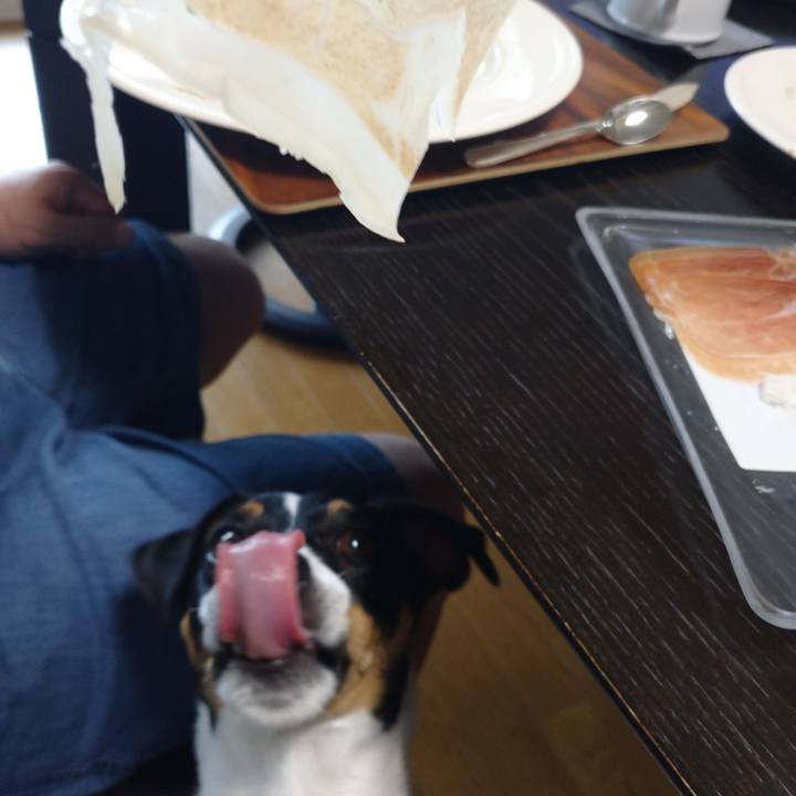 Dae8643f 3730 4714 80b6 2e4cf1feb2e4 1631968724486