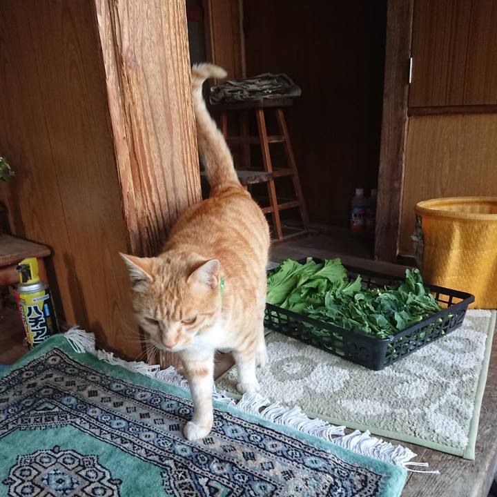 Dae8bda0 d00c 4524 85e3 8d6801959db1 1586073153950