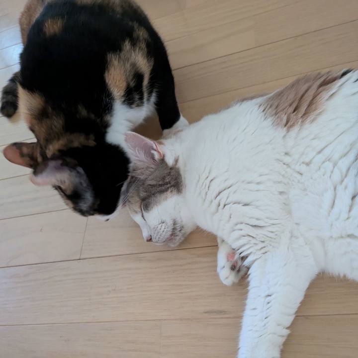 Dae8e787 32e0 4dd4 8695 8c109319f595 1722861643661