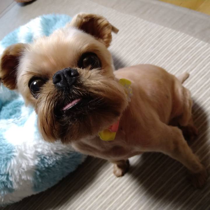 Dae920f7 c61b 4447 bb91 9ccf2c7027a5 1619009058471